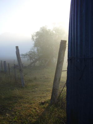 sunrise